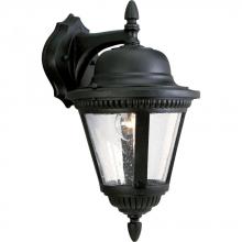  P5863-31 - Westport Collection One-Light Medium Wall Lantern