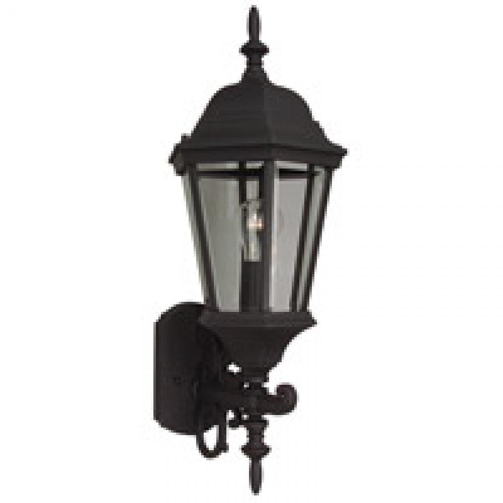 Straight Glass Cast 1 Light Medium Outdoor Wall Lantern in Textured Black