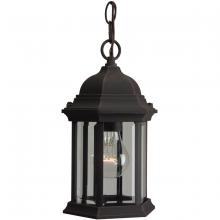  Z291-RT - Hex Style Cast 1 Light Outdoor Pendant in Rust