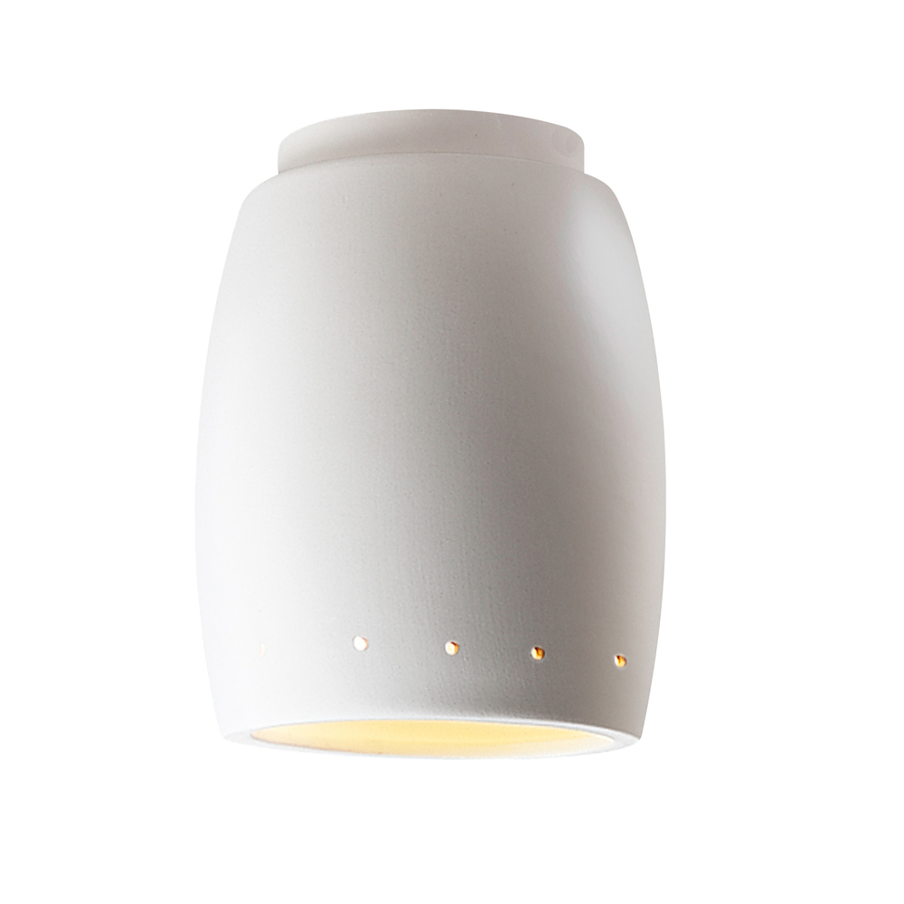 Curved w/ Perfs LED Flush-Mount (Outdoor)