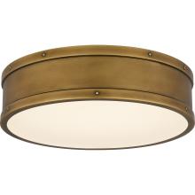 Quoizel QFL5224WS - Quoizel Flush Mount