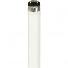 Satco Products Inc. S7633 - 32 Watt; T8; Fluorescent; 4100K Cool White; Medium Bi Pin base; TF Shatter Proof