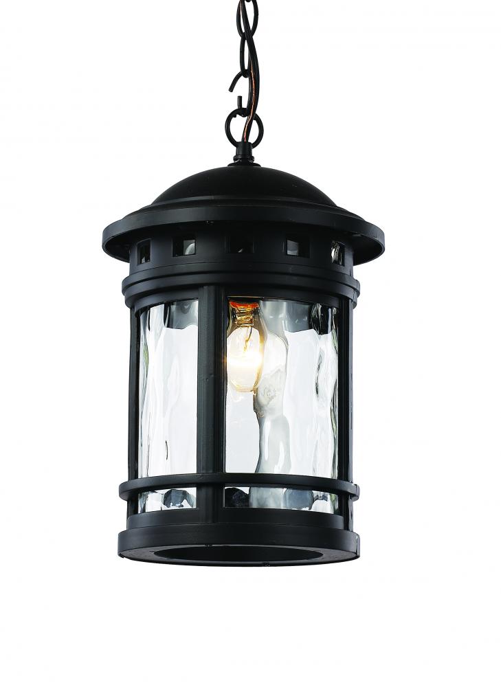 Boardwalk Collection 1-Light, Outdoor Hanging Lantern Pendant with Water Glass