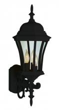 Trans Globe 4503 BK - Burlington 3-Light Armed Metal and Glass, Up-mount Outdoor Wall Lantern