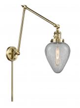 Innovations Lighting 238-AB-G165 - Geneseo - 1 Light - 8 inch - Antique Brass - Swing Arm