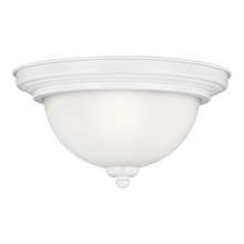 CEILING FLUSH MOUNT