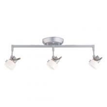  TK216-4 - Directional Wall Light