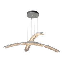 Hubbardton Forge 137587-LED-STND-82-ZM0749 - Glissade Double Large LED Pendant