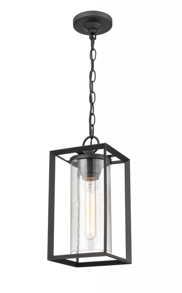 Wheatland 1-Light Outdoor Hanging Lantern Powder Coated Black