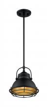 Nuvo 60/7073 - UPTON 1LT SMALL PENDANT