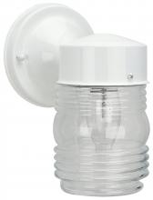 Canarm IOL2011 - Outdoor, 1 Bulb Outdoor, Clear Glass, 60W Type A or B