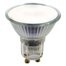 Flood Bulbs