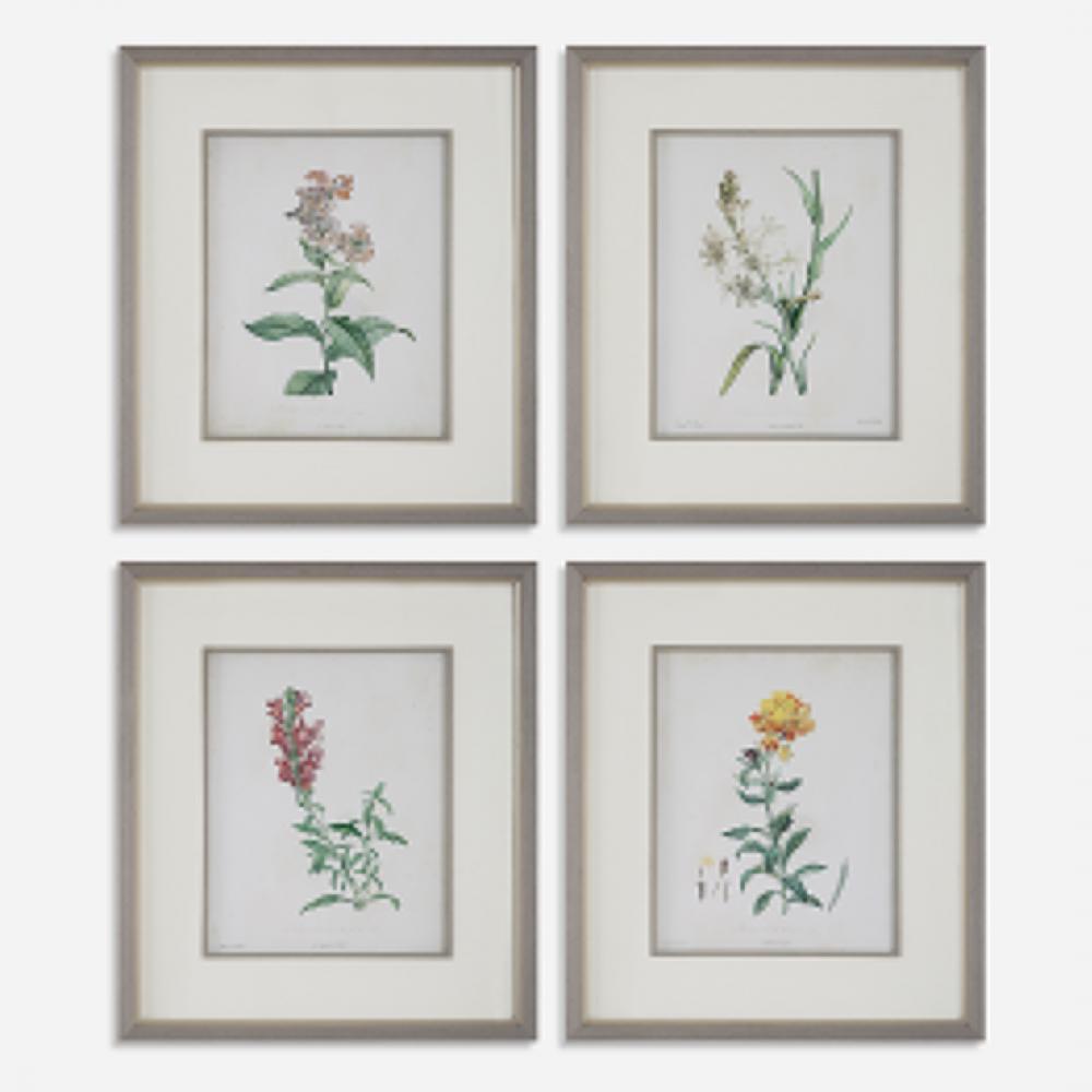 Heirloom Blooms Study Framed Prints Set/4